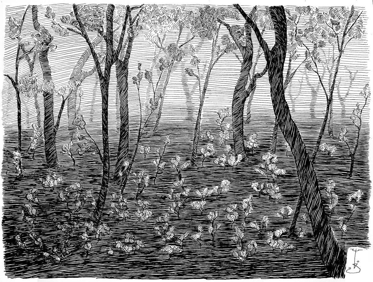 Artwork Title: Misty Forest