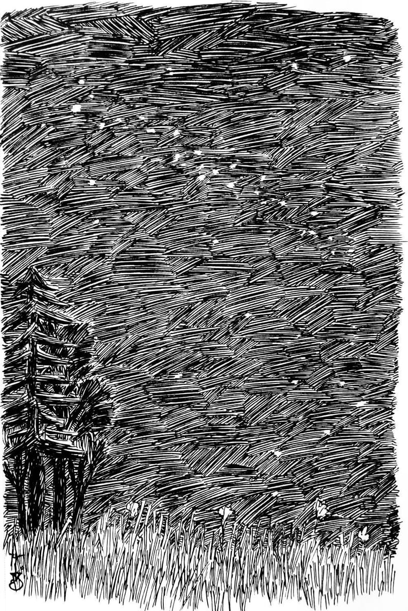 Artwork Title: Night Sky