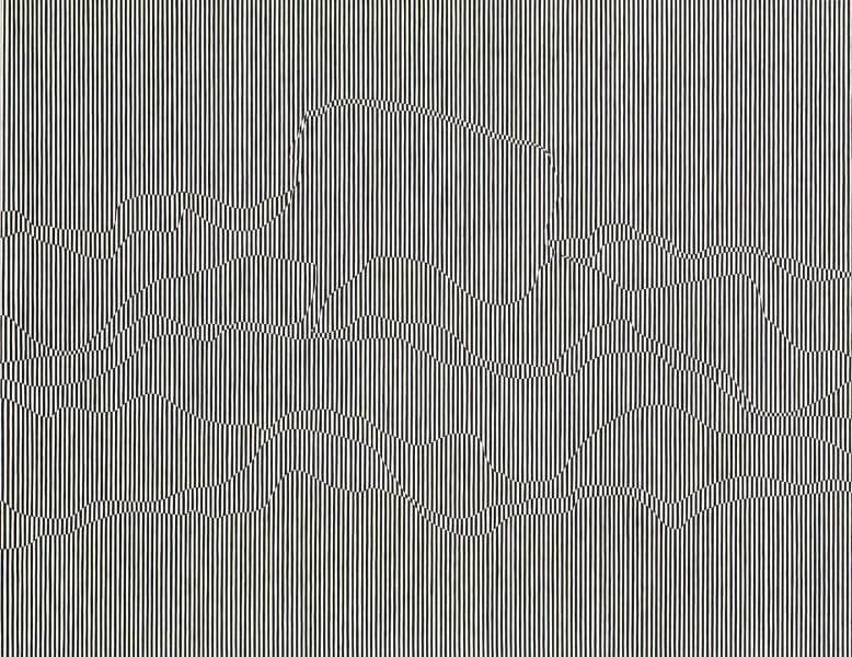Artwork Title: Determinative Focus