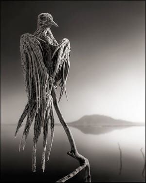 Artwork Title: Untitled