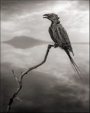 Artwork Title: Untitled