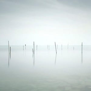 Artwork Title: Waterscapes