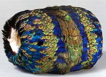 Artwork Title: Muff of peacock feathers, lined with white ermine 1860-1870