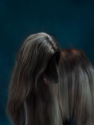 Artwork Title: Untitled