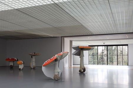 Artwork Title: 5 Giant Mushrooms