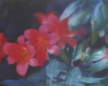 Artwork Title: Untitled