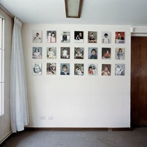 Artwork Title: Dog Days, Bogotá - Untitled 07