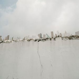 Artwork Title: Dog Days, Bogotá - Untitled 25
