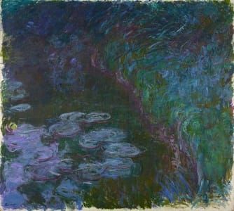 Artwork Title: Water Lilies