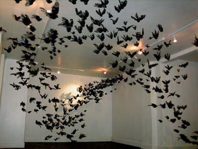 Artwork Title: Bird Installation - Strychnin Gallery