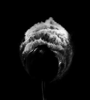 Artwork Title: Vanishing Beauty