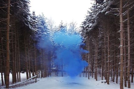 Artwork Title: Untitled