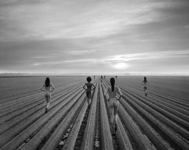 Artwork Title: Untitled