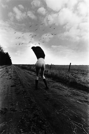 Artwork Title: She Is Afraid Of Birds