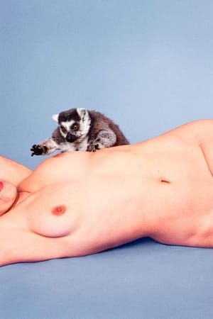 Artwork Title: Lemur (Carolina Blue)
