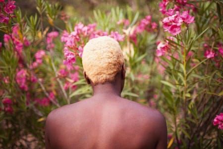 Artwork Title: Blonde Oleander