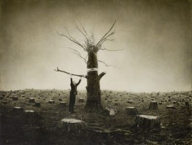 Artwork Title: Arbor Day
