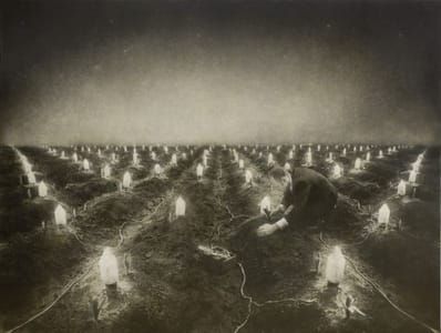Artwork Title: Night Garden