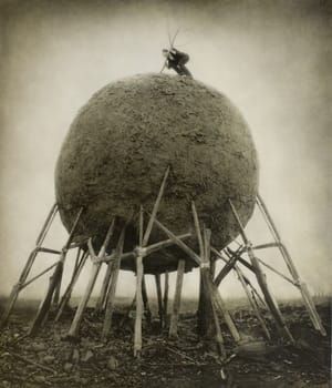 Artwork Title: Kingdom