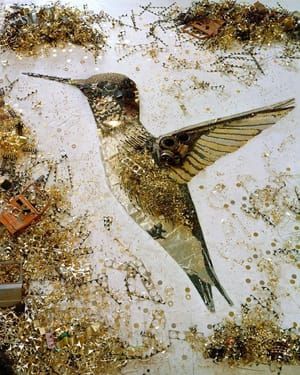 Artwork Title: Humming Bird