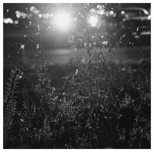 Artwork Title: Longmont, Colorado