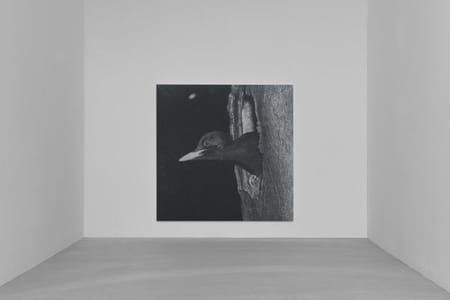 Artwork Title: Untitled