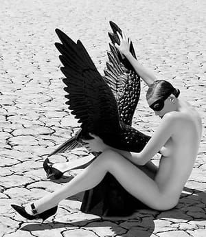 Artwork Title: The Abduction Of Ganymede 2