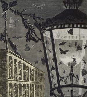 Artwork Title: And the Butterflies Began to Sing