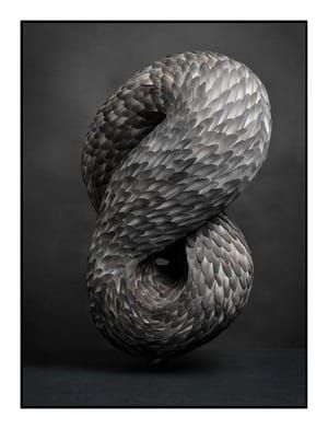 Artwork Title: Wrest
