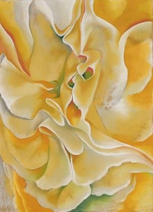 Artwork Title: Yellow Sweet Peas