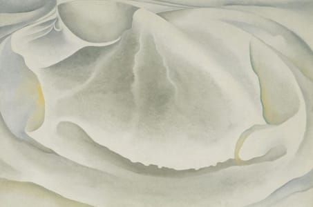Artwork Title: Inside Clam Shell