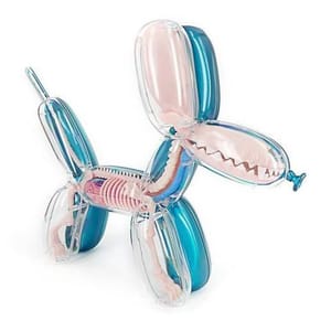Artwork Title: Balloon Dog Funny Anatomy