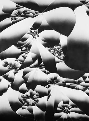 Artwork Title: Untitled