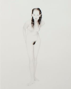 Artwork Title: Untitled
