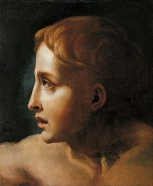 Artwork Title: Head of a Youth