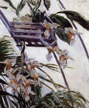 Artwork Title: in the greenhouse of Orchids