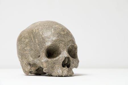 Artwork Title: Humument Skull
