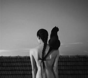 Artwork Title: Untitled