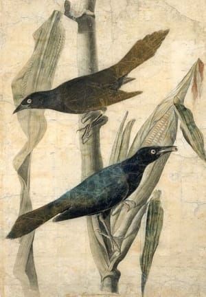 Artwork Title: Purple Grackle