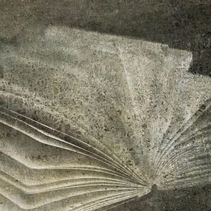 Artwork Title: An Open Book, Rome
