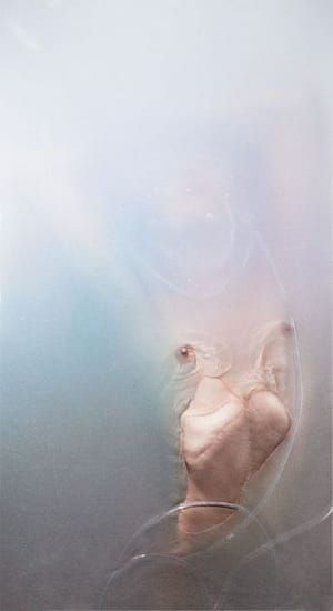 Artwork Title: Untitled