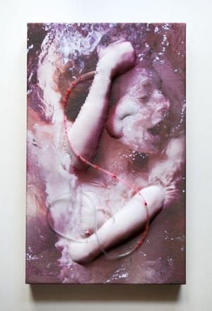 Artwork Title: Untitled