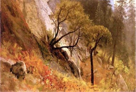 Artwork Title: Landscape Study - Yosemite, California