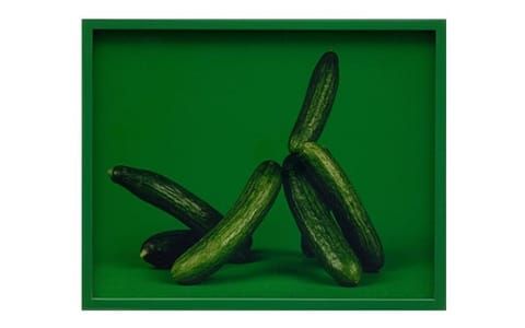 Artwork Title: Untitled
