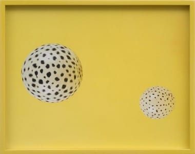 Artwork Title: Untitled
