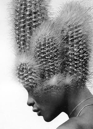 Artwork Title: Coiffure