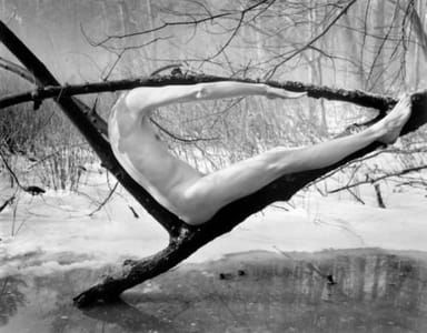 Artwork Title: Untitled