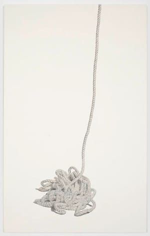 Artwork Title: Untitled (rope 2)