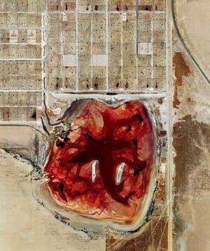 Artwork Title: Feedlots