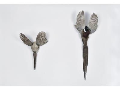 Artwork Title: Aviation (Sheep)